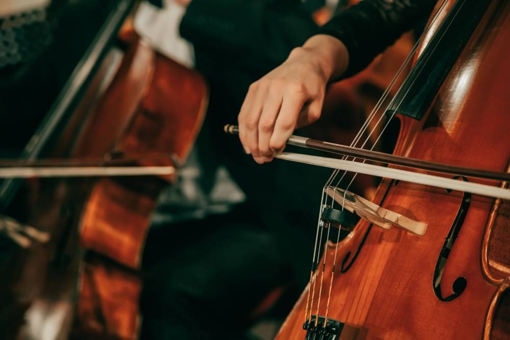 Vente Violoncelle près de Bligny-lès-Beaune