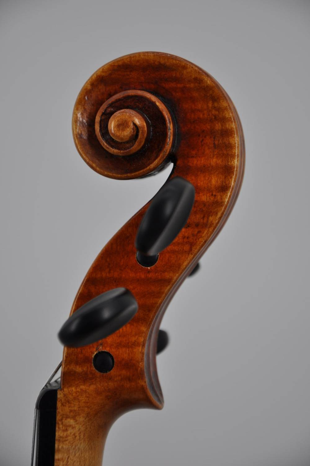 Stradivari Baron Wittgenstein (1)