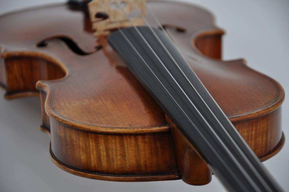 Stradivari Baron Wittgenstein (2)