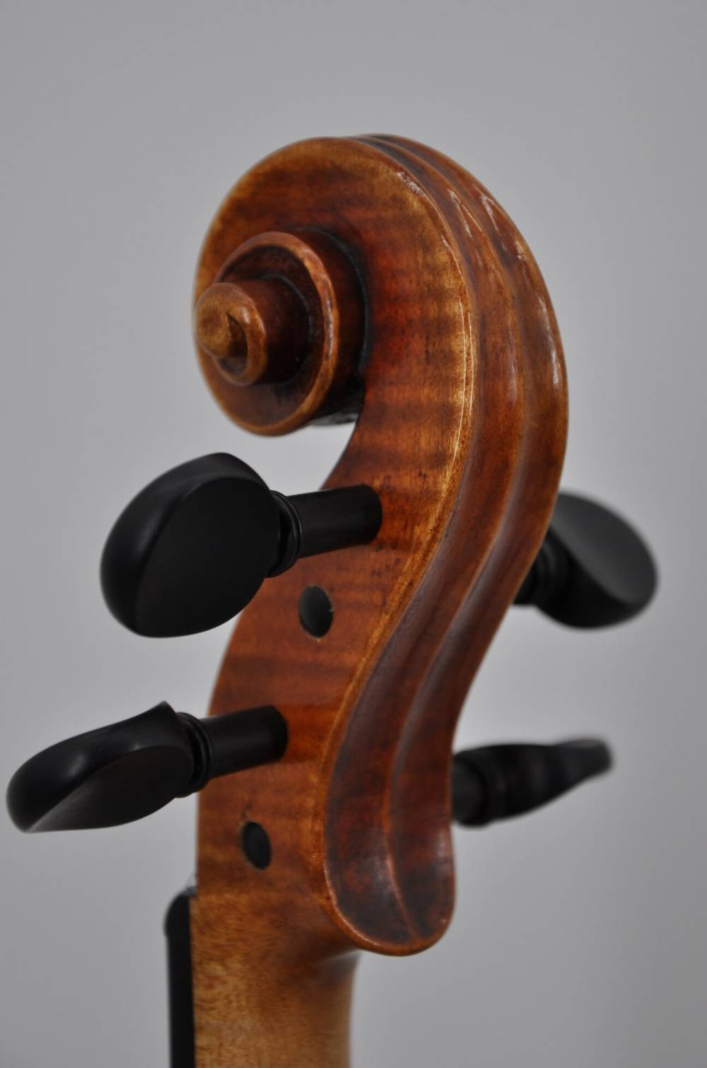 Stradivari Baron Wittgenstein (4)