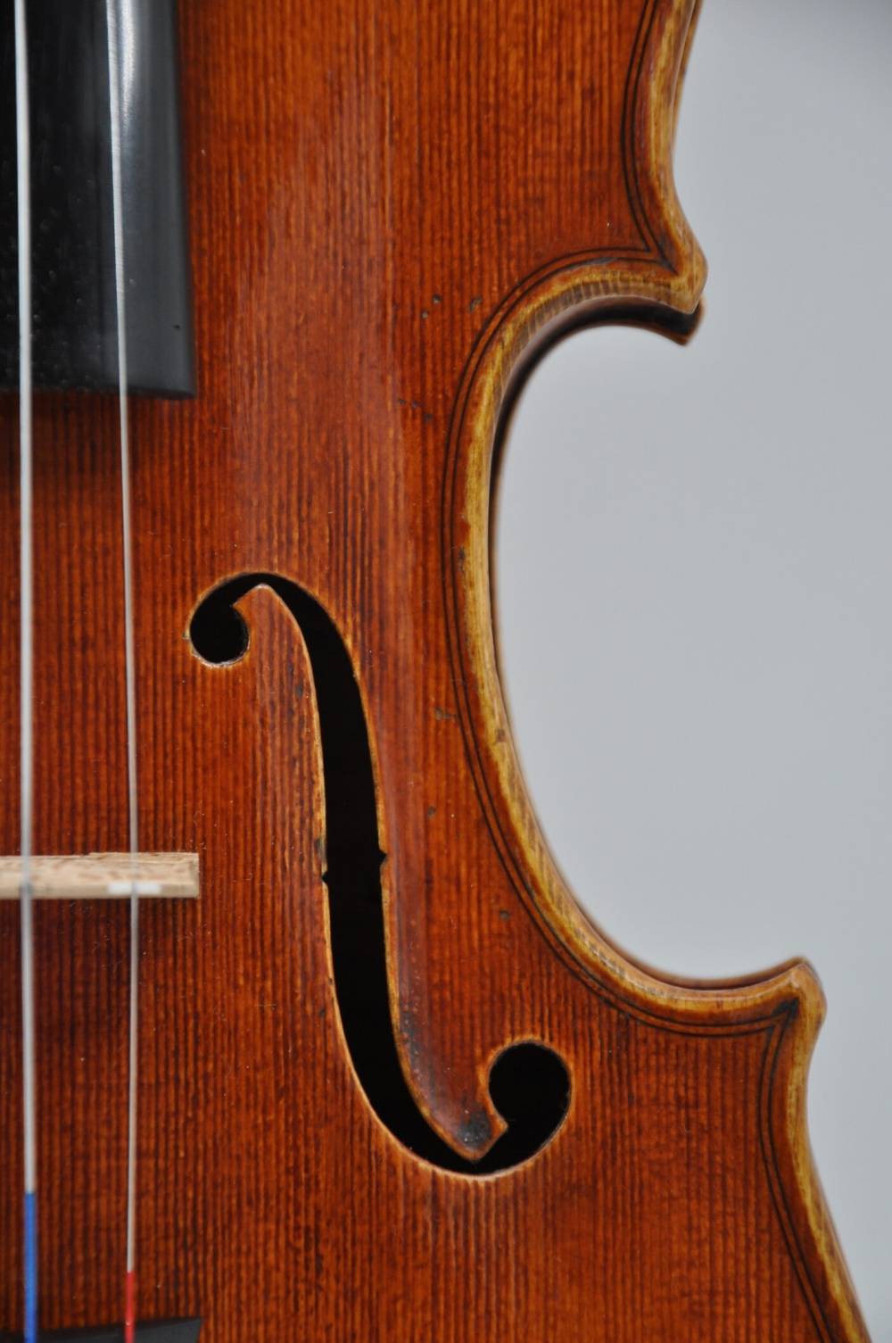 Stradivari Baron Wittgenstein (6)