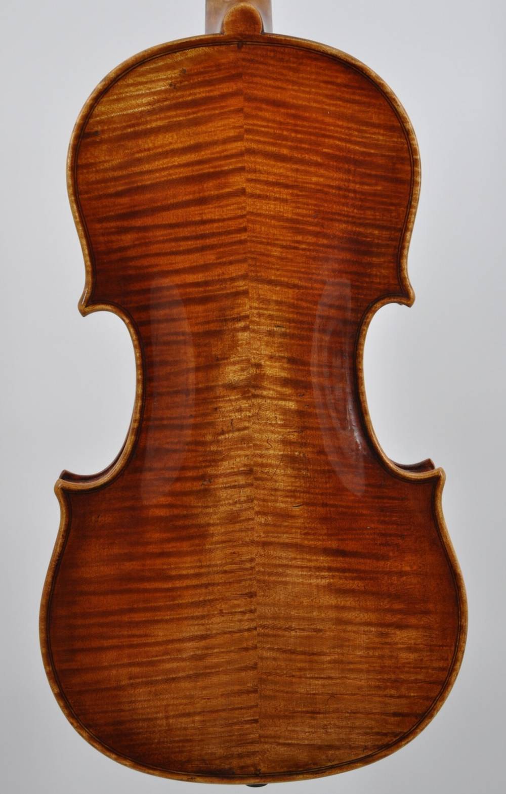Stradivari Baron Wittgenstein (8)