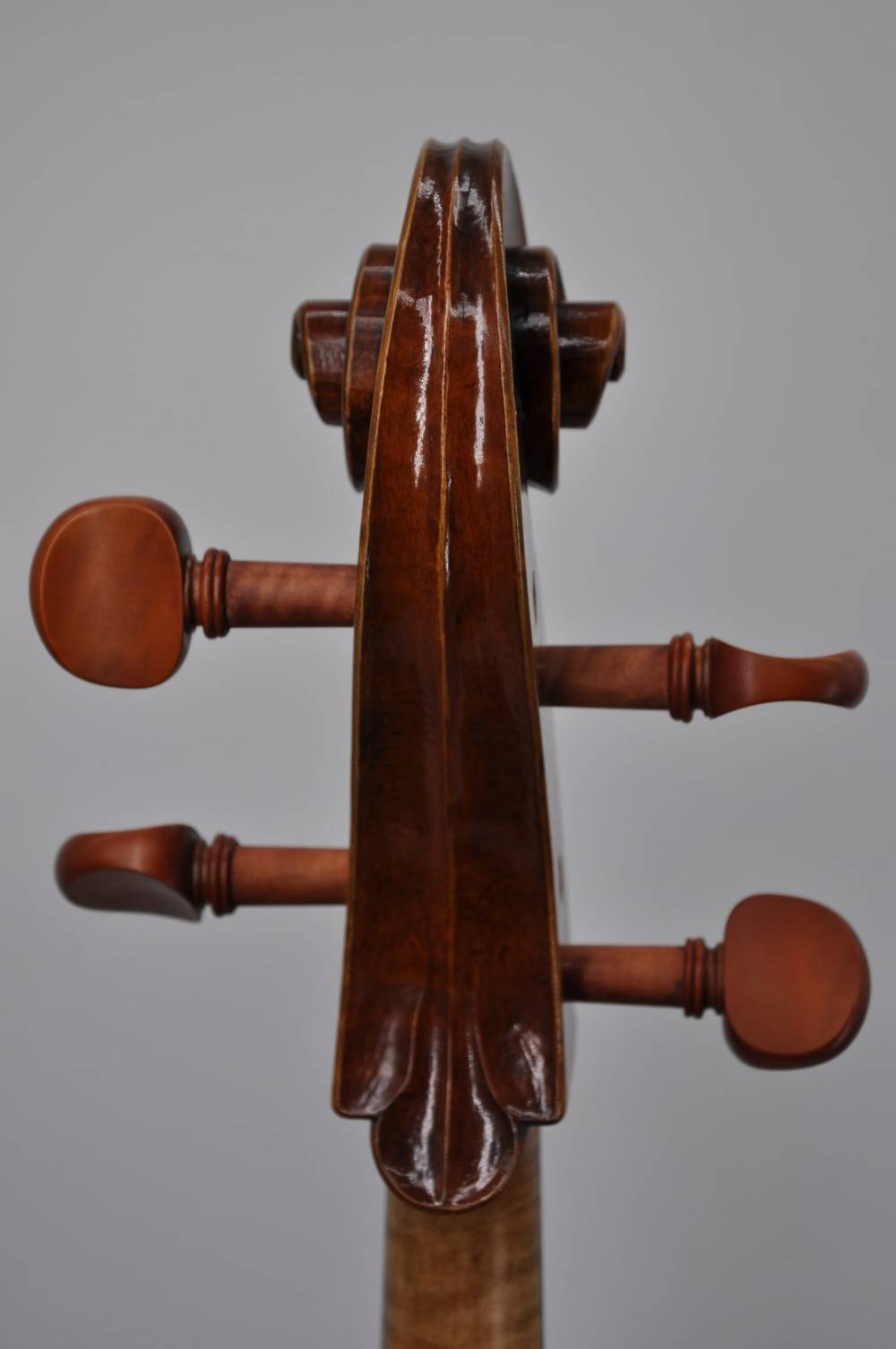 Montagnana 1740 (1)