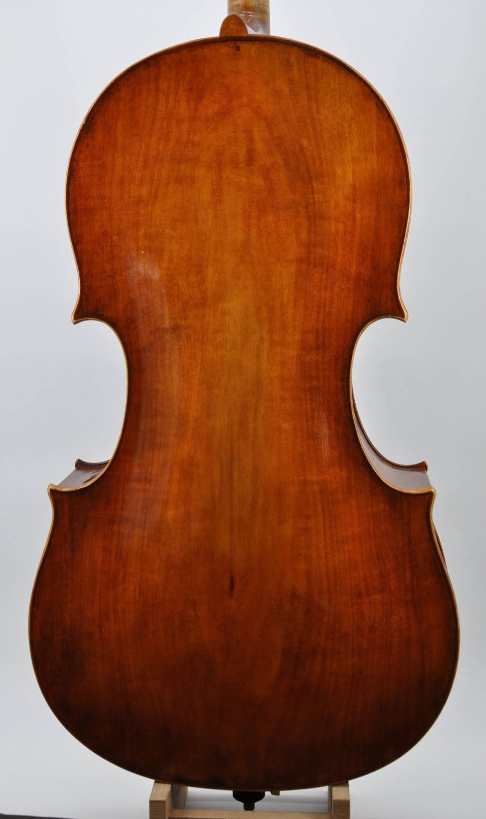 Montagnana 1740 (5)