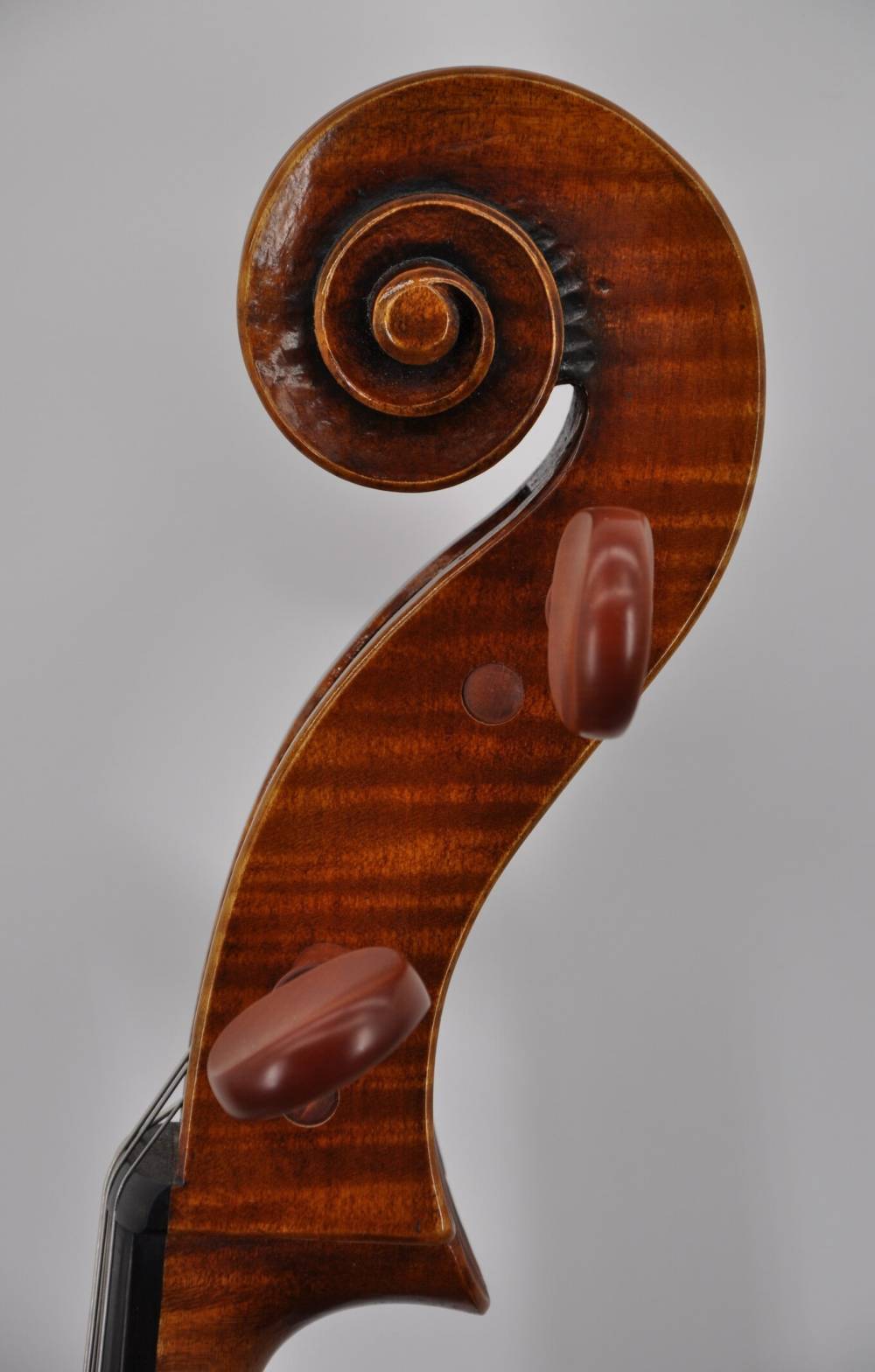 Montagnana 1740 (7)